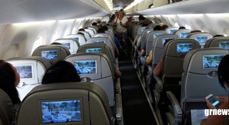 Deputados aprovam projeto e animais de estimação poderão viajar junto com os passageiros em voos domésticos