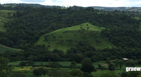 Programa estadual de MG converte parte da arrecadação com multas em projetos de proteção ambiental