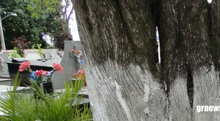Cemitério de Pará de Minas está superlotado e prefeito sugere que corpos sejam sepultados nos distritos até concluir licitação