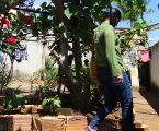 CNM prevê impacto de R$ 70 bilhões aos municípios com aposentadoria especial para ACE e ACS