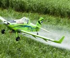 Governo federal define metas para reduzir uso de agrotóxicos no campo entre 2026 e 2027