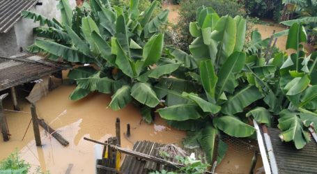 Chuva forte deixa 14 famílias desalojadas em Igaratinga; prefeitura recebe doações para as vitimas