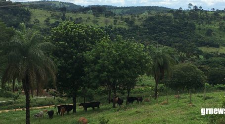 Novo coronavírus já impacta comércio e situação do produtor rural é caótica, diz pecuarista