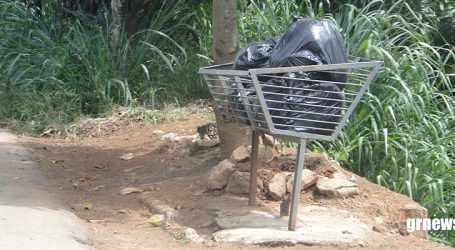 Descarte incorreto de lixo causa acidentes e ferimentos nos garis em Pará de Minas