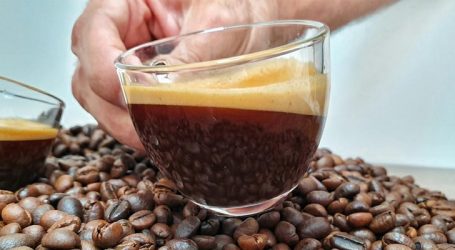 Atualizado zoneamento de risco climático do café canéfora