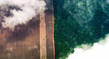 Prorrogado prazo de adesão ao programa de combate ao desmatamento na Amazônia
