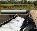 GRNEWS TV: Águas de Pará de Minas realiza estudo para transformar em fertilizante, resíduo produzido na ETE União