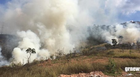 Tudo de novo: incêndio de grandes proporções atinge Serra das Torres, destrói vegetação e espanta animais. Veja