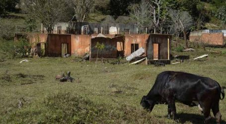 Tragédia em Mariana: Samarco é alvo de ação que pede R$ 3,6 milhões por danos às mulheres