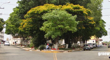 GRNEWS TV: Ativista ambiental alerta sobre manejo correto e riscos oferecidos por árvores de grande porte na Praça Santo Antônio