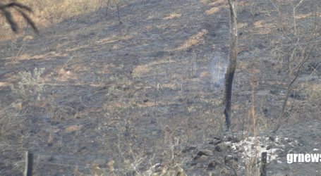 Incêndio de grandes proporções destrói vegetação a espanta animais das Serra das Torres em Pará de Minas