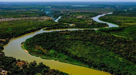 Pantanal perde 75% de área alagada e atinge ponto de não retorno, alerta MapBiomas