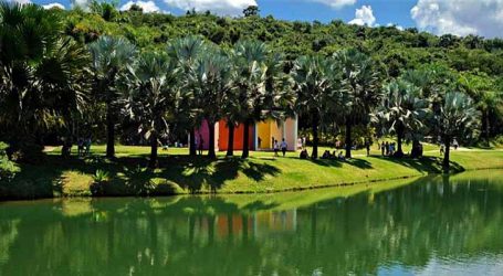 Inhotim alcança público histórico e prepara celebrações para os seus 20 anos
