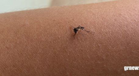 Casos de dengue cresceram 587% no estado do Rio
