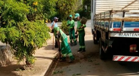 Limpeza de bueiros para evitar alagamentos continua e secretário pede colaboração dos paraminenses