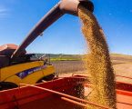 Produção nacional de grãos deve atingir recorde histórico em 2026