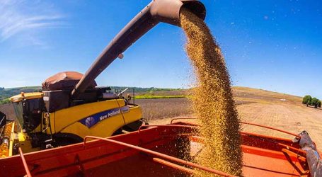Produção nacional de grãos deve atingir recorde histórico em 2026