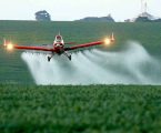 O veneno invisível: agrotóxicos atingem duplamente a população mais vulnerável no Brasil