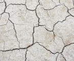 Avanço da desertificação no Brasil coloca em risco o abastecimento de água e a produção de alimentos