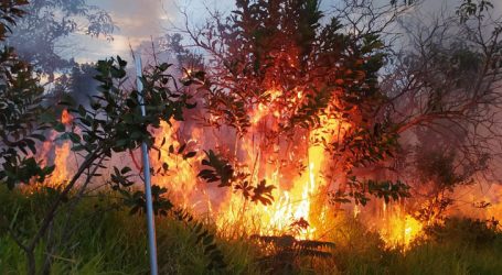 GRNEWS TV: Período de tempo seco se aproxima e Bombeiros realizam ações para prevenir e combater incêndios florestais