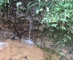 GRNEWS TV: Projeto promove o saneamento rural e fortalece nascentes em Pará de Minas