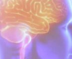 Nova era na neurocirurgia com técnica endovascular que reduz riscos e mortalidade por aneurisma cerebral