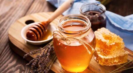 Por ser mais raro, mel de abelhas sem ferrão custa até R$ 800 o litro