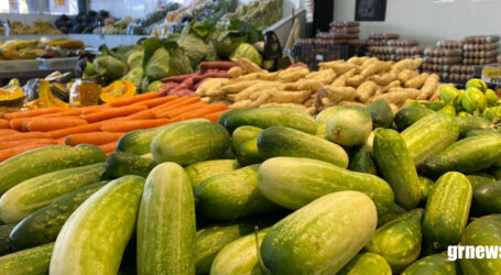 Tempo seco e frio faz paraminense pagar bem mais caro por frutas, verduras e legumes