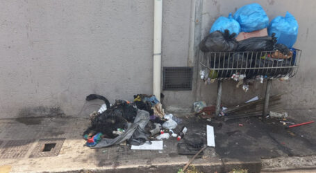 População paraminense não atende aos apelos e continua colocando lixo nas ruas fora do horário de coleta