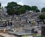 Estudo aponta que negacionismo fez brasileiros “perderem” 3,4 anos de vida na pandemia
