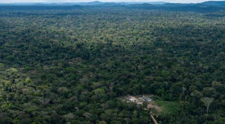 Governo Federal formaliza demarcação de 10 terras indígenas em seis estados