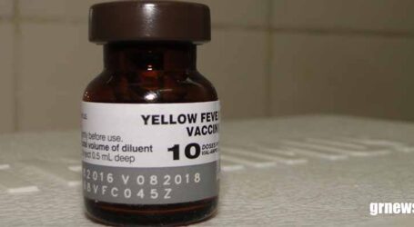 Saúde reforça importância da vacina contra a febre amarela, após confirmação de novos casos e mortes no Brasil