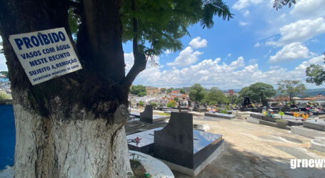 Força tarefa contra a Dengue recolherá no Cemitério Santo Antônio vasos de plantas que podem acumular água