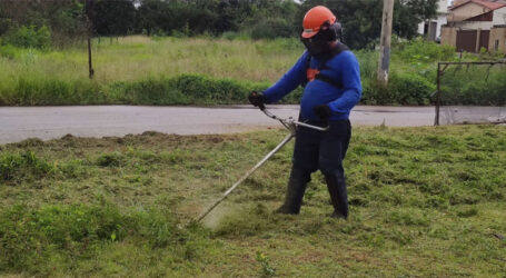 Equipes de capina intensificam trabalho e assessor pede paciência neste período de chuvas