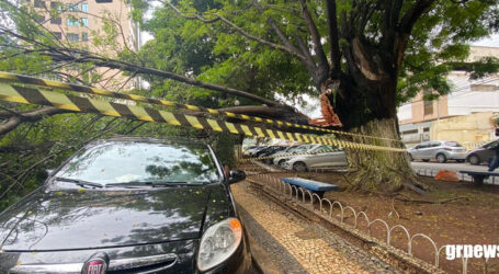 Enorme galho de árvore cai, danifica veículos, lojas e interdita rua no Centro de Pará de Minas