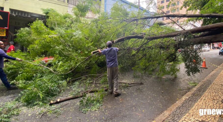 Meio Ambiente prorroga inscrições de processo seletivo para contratar 20 ajudantes de obras e serviços