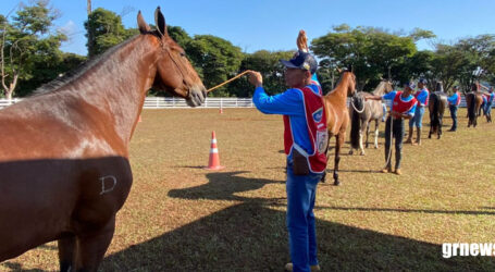 GRNEWS TV – Criadores de todo o Brasil participam da Exposição do Cavalo Campolina em Pará de Minas