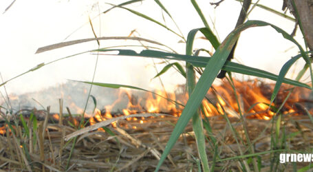 Incêndios florestais se propagam, incomodam população e causam danos ambientais em Pará de Minas