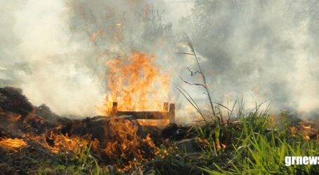 MG adota prevenção a incêndios florestais como prioridade e se antecipa ao período seco