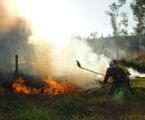 MG recebe inscrições para contratação de brigadistas temporários para prevenção e combate aos incêndios florestais