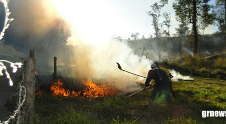 MG recebe inscrições para contratação de brigadistas temporários para prevenção e combate aos incêndios florestais
