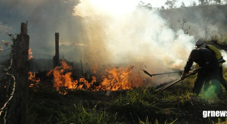 Ministério Público Federal aciona justiça para contratação de brigadistas contra incêndios