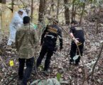 Amazônia registra taxa de assassinatos superior à média nacional