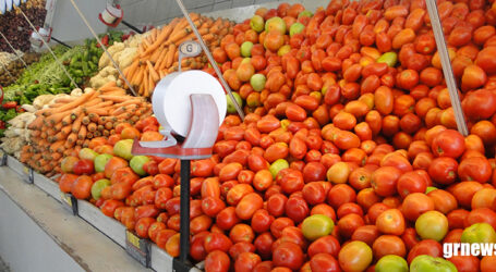 Cebola e tomate ficaram mais baratos nas centrais de abastecimento