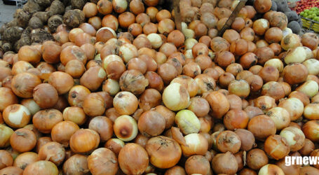 Preço dos alimentos registra menor inflação acumulada desde setembro de 2024