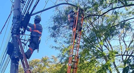 Lâmpadas LED estão sendo instaladas na rede pública de Pará de Minas; tecnologia trará mais segurança e economia