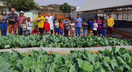 GRNEWS TV: Cultivo de horta em núcleo do PROMAF pretende manter a boa alimentação dos socioeducandos