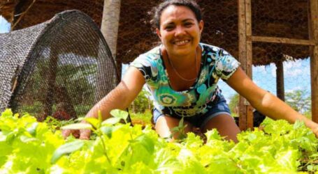 Informalidade e desigualdade desafiam as mulheres que sustentam o campo no Brasil