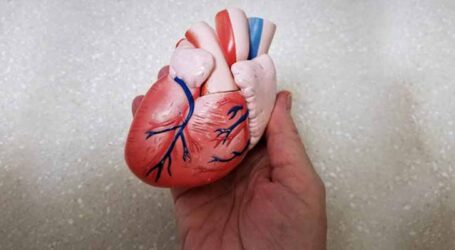 Veja dicas de cuidados com o coração e quando procurar um cardiologista