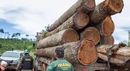 Desmatamento na Amazônia teve queda de 21,8% e no Pantanal de 9,2%